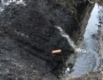 Peat Exploitation in Salford 